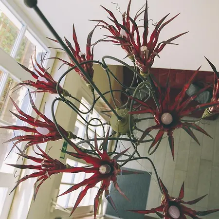 Villa-senta-apartment-1 Ostseebad Kühlungsborn