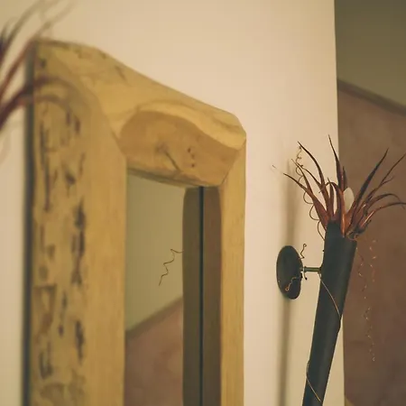 شقة Villa-senta-apartment-1 Ostseebad Kühlungsborn